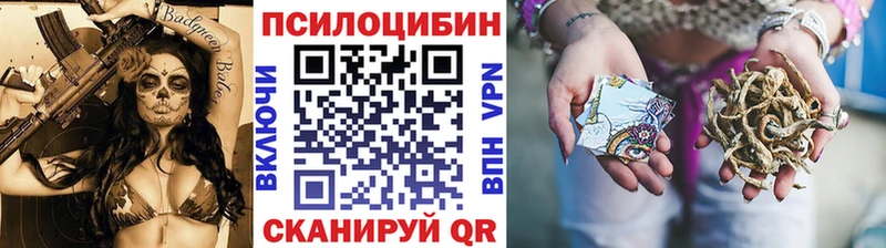 наркота  Себеж  Псилоцибиновые грибы мицелий 